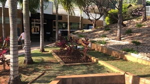 Reforma da Jardinagem